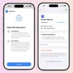 מנויים חודשיים באפסטור עם התחייבות ל-12 חודשים – מה זה אומר?